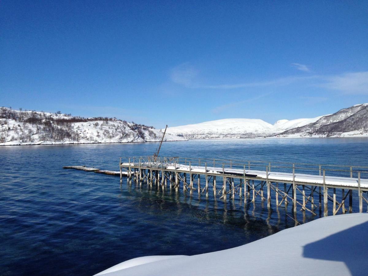Apartament Sondre Foroya Gard Tromsø Zewnętrze zdjęcie