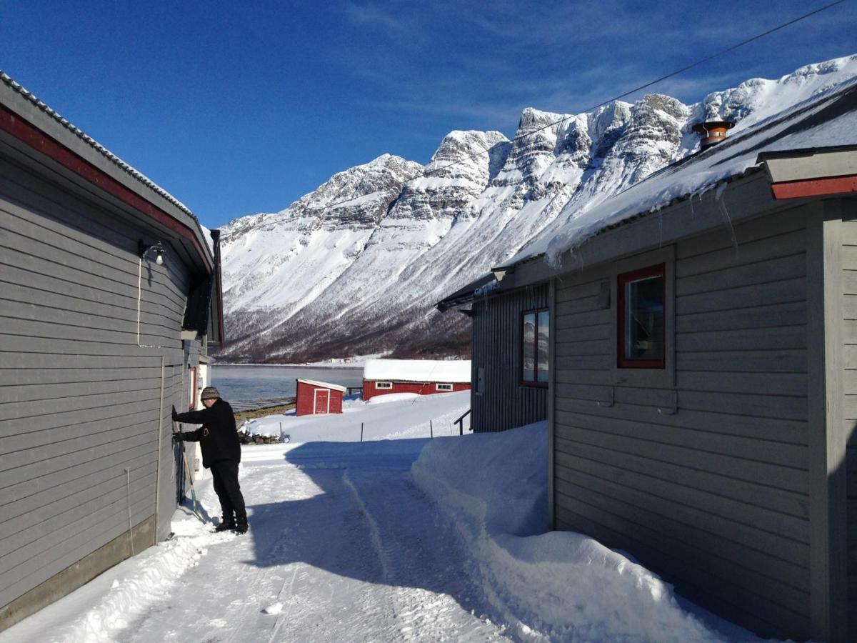 Apartament Sondre Foroya Gard Tromsø Zewnętrze zdjęcie